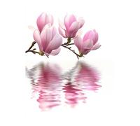 Peinture Numero Adulte Fleur Toile Peinture Numero Enfant Abstrait Activité Manuelle Adulte Wall Art Supplies 60x80 Cm Bricolage Couleur Paint by Numbers pour Cadeau Femme Decoration Murale model-7215