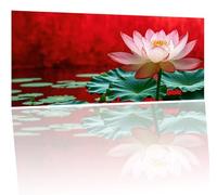 Peinture Numero Adulte fleur usine, DIY Peinture Acrylique pour Adultes Enfants Débutants Facile sur Toile, Grand Peintures a l'huile Kits 30x60cmavec 3 Pinceaux et Peintures pour Décor Cadeaux Y-118