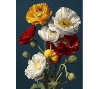 Peinture Numero Adulte Fleur, Usine Peinture par Numero Adultes avec 3 Pinceaux et Pigment Acrylique, Loisirs Créatifs Adultes, DIY Activité Manuelle Adulte, Decoration Maison Cadeau, 45x60 cm-#25k