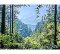 Peinture Numero Adulte ForêT Peinture Numero Paysage Paint by Numbers for Adults avec 3 Pinceaux et Acryliques DIY Activité Manuelle Adulte pour Decoration Maison, Cadeau Femme 120x90 cm -yym25012ZA