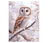 Peinture Numero Adulte Hibou Coloriage par Numero Adulte Oiseaux, Activité Manuelle Enfant avec Peinture Acrylique y Pinceaux Toiles 95x70CM, DIY Paint by Numbers, Decoration Maison Cadeau model-3483