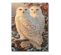 Peinture Numero Adulte Kits Oiseau, Peinture par Numero Adultes ou Enfant Hibou, DIY Loisirs Créatifs d'art, avec 3 Pinceaux e 36 Acryliques, pour Décoration Maison Cadeau Femme 40x55 cm ZBSWK479