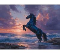 Peinture Numero Adulte, La plage des chevaux Coloriage par Numéro, Acrylique d'art avec Pinceaux, Loisirs Adultes Débutants et Enfants, Activité Manuelle, décoration murale 80x100cm (Sans Cadre) E573