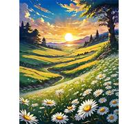 Peinture Numero Adulte,Lever soleil marguerites champs DIY Kits de Peinture au Numéro,Acrylique Peinture par Numéros avec Pinceaux Peinture Paint by Numbers pour Décor Maison avec cadre,40x50cm