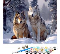 Peinture Numero Adulte Loup Peinture par Numero Adulte ScèNe De Neige, DIY Loisirs Créatifs Adultes, Paint by Numbers avec Acrylique et Pinceaux pour Débutants, Decoration Maison Cadeau 40x50cm B-5115