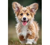 Peinture Numero Adulte Mignon, Chien DIY Peinture Numero Enfant, Activité Manuelle Adulte Kits, Paint by Numbers Kits avec Pinceaux et Pigment Acryliques, Decoration Automne, Cadeau, 90x110cm S-1748