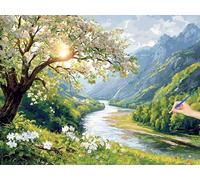 Peinture Numero Adulte Nature Peinture par Numero Adulte Paysage Paint by Numbers Activité Manuelle, Bricolage Coloriage Tableau a Peindre Kit for Tableau Decoration Murale Cadeau Femme 40x30cm U-90