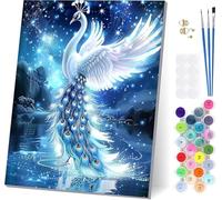 Peinture Numero Adulte Paon, Peinture Numero Ciel éToilé, DIY Activité Manuelle Adulte, Numero d'art Kits avec Pinceaux et Acryliques, Paint by Numbers for Adults pour Décoration Maison 30x40cm 2-2402