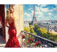 Peinture Numero Adulte Paris Peinture Numero Enfant Débutants Femme Loisirs Créatifs Adultes Kits, DIY Paint by Numbers Acrylique Toile Tableau a Peindre Kits Cadeau Femme Decoration Noel 50x40cm U-39