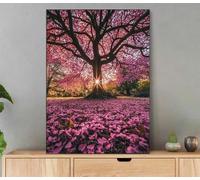 Peinture Numero Adulte, Paysage Peinture Par Numero Avec Cadre, DIY Loisirs Créatifs Adultes Coucher Soleil Paint by Numbers Avec Acrylique et Pinceaux pour DéCoration Maison, Cadeau 35x45cm LfQ-3284