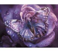 Peinture Numero Adulte, Peinture par Numero Adulte Violet, Papillon Kit de Loisir Créatif Enfant DIY Numéro d'Art Complet avec Pinceaux et Acryliques Paint by Numbers, Decoration Maison 50x70 cm O-845