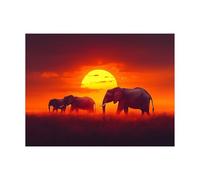 Peinture Numero Adulte, Toile Peinture Numero Enfant Afrique, Coloriage Numerote avec Acrylique et Pinceau Toile Éléphant 55 x 40cm, Activité Manuelle Adulte pour Tableau Decoration Murale LZYH-9912