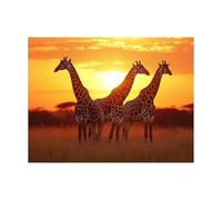 Peinture Numero Adulte, Toile Peinture Numero Enfant Girafe, Coloriage Numerote avec Acrylique et Pinceau Toile Afrique 55 x 40 CM, Activité Manuelle Adulte pour Tableau Decoration Murale LZYH-10447