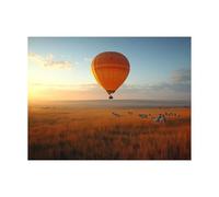 Peinture Numero Adulte, Toile Peinture Numero Enfant montgolfière, Coloriage Numerote avec Acrylique et Pinceau Toile Afrique 55x40cm, Activité Manuelle Adulte pour Tableau Decoration Murale LZYH-9820