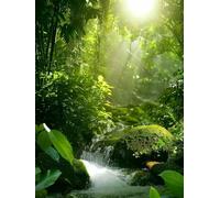 Peinture Numero Adulte Usine, Voir Peinture Numero Enfant, DIY Loisirs Créatifs Adultes, Paint by Numbers Kits avec Pinceaux et Pigment Acryliques, Decoration Automne, Cadeau Femme, 50x70cm, D-9644