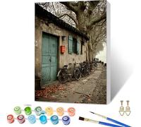 Peinture Numero Adulte Vue De La Rue, VéLo Peinture par Numero avec Cadre, DIY Activité Manuelle Adulte, Paint by Numbers Kits avec Pinceaux et Pigment Acryliques, Decoration Maison, 100x135cm H-1976