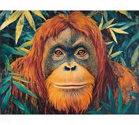 Peinture Numero Animal Peinture par Numero Adulte Chimpanzés Activité Manuelle Adulte,DIY Paint by Numbers Kits avec Pinceaux et Acryliques Peintures pour la Décoration Maison Cadeaux 50x60cm E1-1208