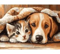 Peinture Numero chat Peinture Numero Adulte chien Toile Peinture Grand Format 30x40cm DIY Paint by Numbers Enfant Débutants Activité Manuelle Coloriage par Numero Loisirs Créatifs Cadeau Femme M-384