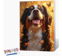 Peinture Numero Enfant Bouvier Bernois Peinture par Numero Papillon Paint by Numbers, Loisir Creatif Adulte DIY Kit Creatif Adulte Couleur Canevas Painting, Cadeau Femme Sans Cadre 40x60cm 3-Q795