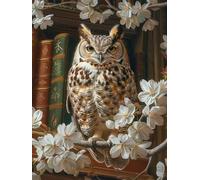 Peinture Numero Enfant Hibou Peinture par Numero Fleur Paint by Numbers, Loisir Creatif Adulte DIY Kit Creatif Adulte Canevas Painting pour Décoration Murale, Cadeau Femme Avec Cadre 50x70cm 2-9588