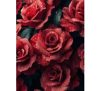 Peinture Numero Enfant Rose Peinture par Numero Fleur Paint by Numbers, Loisir Creatif Adulte DIY Kit Creatif Adulte Canevas Painting pour Décoration Murale, Cadeau Femme Avec Cadre 100x135cm 2-9V37
