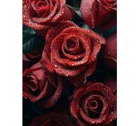 Peinture Numero Enfant Rose Peinture par Numero Fleur Paint by Numbers, Loisir Creatif Adulte DIY Kit Creatif Adulte Canevas Painting pour Décoration Murale, Cadeau Femme Avec Cadre 40x50cm 7-8D27