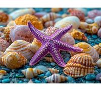 Peinture Numero Étoile de mer Peinture par Numero Adulte Coquille Activité Manuelle Adulte,DIY Paint by Numbers Kits avec Pinceaux et Acryliques Peintures pour la Décor Maison Cadeaux 40x50cm E1-1650