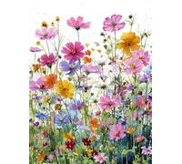 Peinture Numero Fleurs sauvages, Peinture Numero Enfant, Canevas Adulte, coloré Paint by Numbers for Adultes, Activité Détente et Créative, Decoration Maison, Cadeau Femme, Sans Cadre, 50x70cm e-837