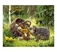 Peinture Numéro Hérisson Animal Peinture Numero Adulte Débutant Enfants Peinture Par Numero Bricolage Peintures Kits Pour Numero D'art Adulte Peinture Home Decor Sans Cadre 40X50 Cm