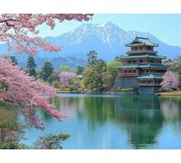 Peinture Numero Japon Peinture par Numero Adulte Paysage Activité Manuelle Adulte,DIY Paint by Numbers Kits avec Pinceaux et Acryliques Peintures pour la Décoration Maison Cadeaux 30x40cm E1-1368