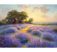 Peinture Numero Lavande Peinture par Numero Adulte Paysage Activité Manuelle Adulte,DIY Paint by Numbers Kits avec Pinceaux et Acryliques Peintures pour la Décoration Maison Cadeaux 20x30cm E1-1528