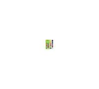 Djeco Palette de gouache 12 pastilles 12 couleurs – Classique