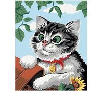 Peinture par chiffres avec cadre Images à peindre - Chat rigolo 40 x 50 cm