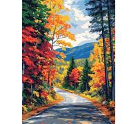 Peinture par Numero Adulte Autoroute D'Automne Paysage 60x80 cm, Peinture Numéro Activité Manuelle Adulte, Kit Peinture Adultes Avec Pinceaux et Peintures pour maison Décoration (Sans Cadre) -YH619