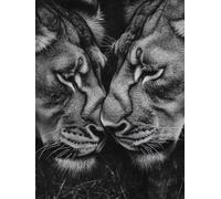 Peinture par Numero Adulte avec Cadre, Animal Kits de Peinture par Numéros pour Adults, DIY Lion Paint by Numbers Acryliques Bricolage Peintures Kits pour la Décoration Intérieure Maison 30x40 cm Q-53