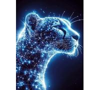 Peinture par Numero Adulte avec Cadre, Ciel étoilé Kits de Peinture par Numéros pour Adults, DIY Léopard Paint by Numbers Acryliques Bricolage Peintures Kits pour la Décoration Maison 50x70 cm Q-2556