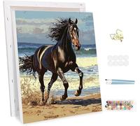 Peinture par Numero Adulte avec Cadre, La Plage Peinture par Numéros Adulte, DIY Animaux Paint by Numbers Toile Artisanat Kit, avec Pinceaux et peintures acryliques, Decoration Maison 50x70cm -47206