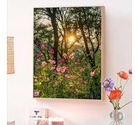 Peinture par Numero Adulte Bois, Kits de Peinture au Numéro Enfant Débutants avec Peinture Acrylique et Pinceaux, DIY Loisirs Créatifs Adulte pour Décoration de Maison, Cadeaux Fleurs 50x70cm O-577