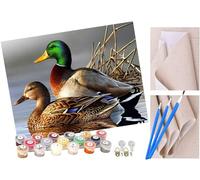Peinture par Numéro Adulte Bricolage Tableau Peindre par Nombre pour Enfants Jouets à peindre cadeaux peints à la main Couple d'animaux colverts Home Decor 40x50cm