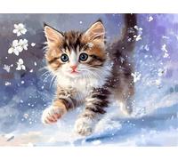 Peinture par Numero Adulte chat Peinture Numero Enfant mignon Peinture à l'huile Peindre par Nombre Kits avec Pinceaux et Acryliques,Paint by Numbers avec Cadre ,Décoration de la Maiso 40x50cm M-401