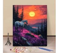Peinture par Numero Adulte Cheval Peinture Numero Coucher De Soleil Activite Manuelle Adulte Painting by Numbers, Kit de Bricolage par Débutants, Decoration Maison Cadeau Sans Cadre 40x60cm R-V37F0