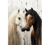 Peinture par Numero Adulte Cheval Peinture Numero, Paint by Number Animaux Paint by Numbers for Adults avec 3 Pinceaux et Acrylique pour Decoration Murale Chambre, Cadeau Femme 60 x 80 cm -zjn2507BV