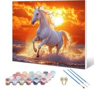 Peinture par Numero Adulte Cheval Peinture Numero, Paint by Number Coucher De Soleil Paint by Numbers for Adults Kit Peinture avec Pinceaux et Acrylique pour Decoration Murale 90 x 70 cm -hjw25010F7