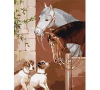 Peinture par Numero Adulte,Chevaux Chiens Animaux DIY Peinture Acryliques pour Débutants Kit de Peinture à l'huile sur Toile avec Brosses et Acryliques Cadeau pour Maison Décor(sans Cadre)40x50cm
