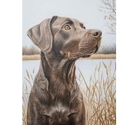 Peinture par Numero Adulte Chien Peinture Numero Animal Paint by Numbers Kits Loisirs Créatifs Adultes, Paint by Numbers Pigment Acrylique Kits pour Decoration Maison, Cadeaux 60x80cm, Model 655