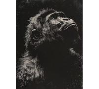 Peinture par Numero Adulte ChimpanzéS Peinture Numero Animal Painting by Numbers, Kit de Bricolage Activite Manuelle Adulte par Débutants, Décoration de la Maison, Cadeau Avec Cadre 60x80cm G-OH73