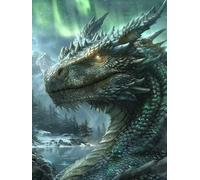 Peinture par Numero Adulte Dragon Peinture Numero, Paint by Number Aurore Paint by Numbers for Adults avec 3 Pinceaux et Acrylique pour Decoration Murale Chambre, Cadeau Femme 70x95cm -zjn250728