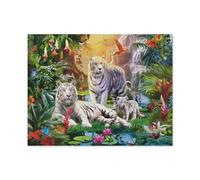 Peinture par Numero Adulte，famille de tigres blancs，DIY Acryliques Peinture,Kit de Peinture à l'huile sur Toile pour Débutants avec Brosses et Acryliques Peintures pour Maison Décor(40x50cm）-B48