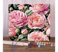 Peinture par Numero Adulte,Fleur de pivoine rose DIY Acryliques Peinture Numero,Kit de Peinture à l'huile sur Toile avec Brosses et Peintures Acryliques Cadeau pour Mur de Maison sans Cadre,30x30cm