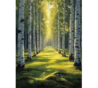 Peinture par Numero Adulte ForêT Peinture Numero, Paint by Number Paysage Paint by Numbers for Adults avec 3 Pinceaux et Acrylique pour Decoration Murale Chambre, Cadeau Femme 30 x 40 cm -zjn25079I